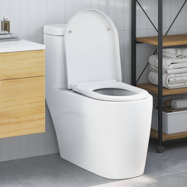 Quick Release Toilet Seat with Soft Close Duroplast White vidaXL
