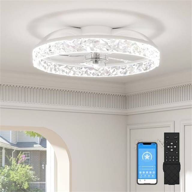 Ivy Bronx Ceiling Fans With Lights And Remote, Modern Smart LED Ceiling Fan Light Clear
