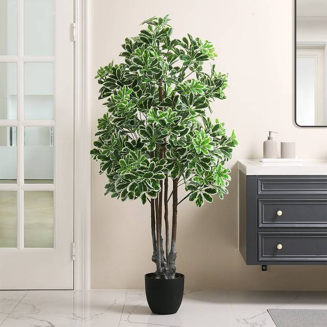 160cm Plant - Green (160cm H X 70cm W X 70cm D)