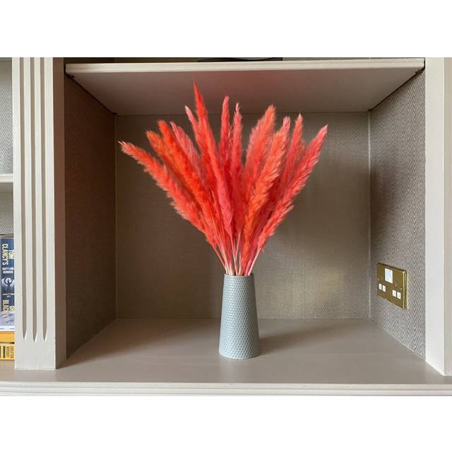 Pampas Grass - Red (60cm H x 5cm W x 5cm D)