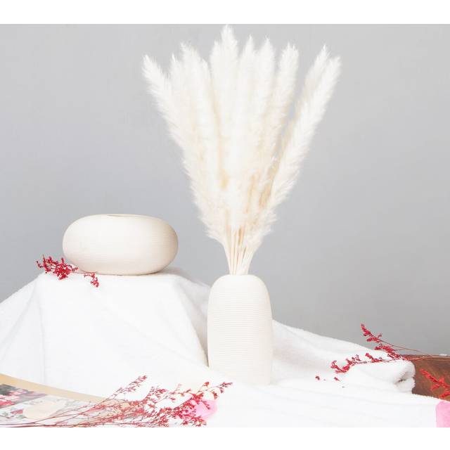 Pampas Grass - Ivory (60cm H x 5cm W x 5cm D)