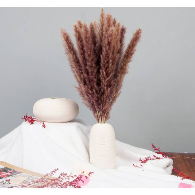 Pampas Grass - Brown (45cm H x 5cm W x 5cm D)