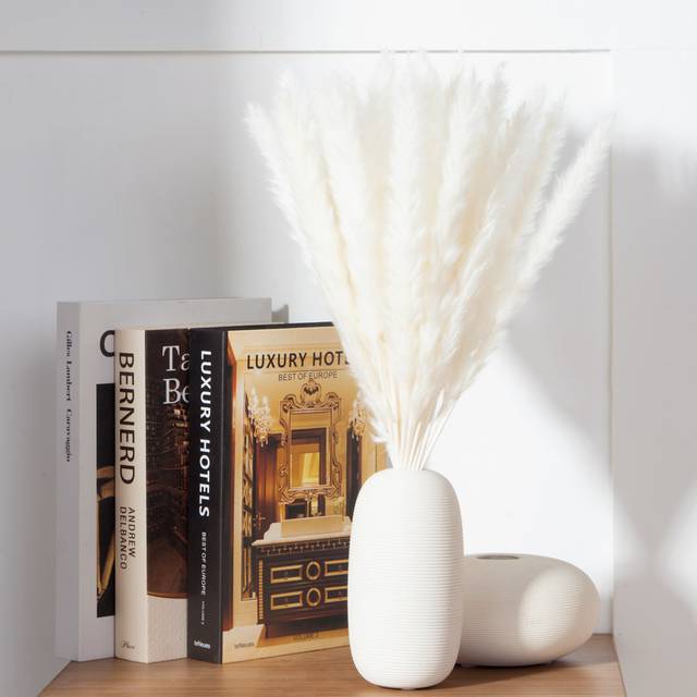 Pampas Grass - White Ivory (45cm H x 5cm W x 5cm D)