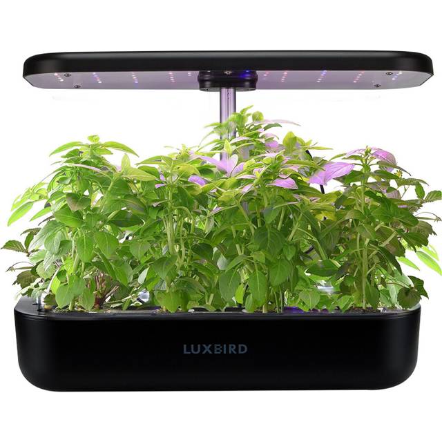 INKBIRD Hydroponics Growing System Height Adjustable with Smart LED Grow Light Large Capacity G