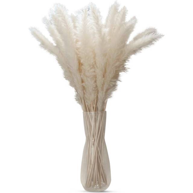 Intirilife Pampas grass 30 pieces WhiteNatural dried flower soft sustainable reed grass decoration various occasions.