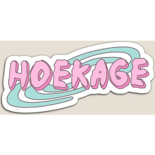 Fridge Magnets Hoekage Acrylic Meme Decoration for Home Kitchen Office