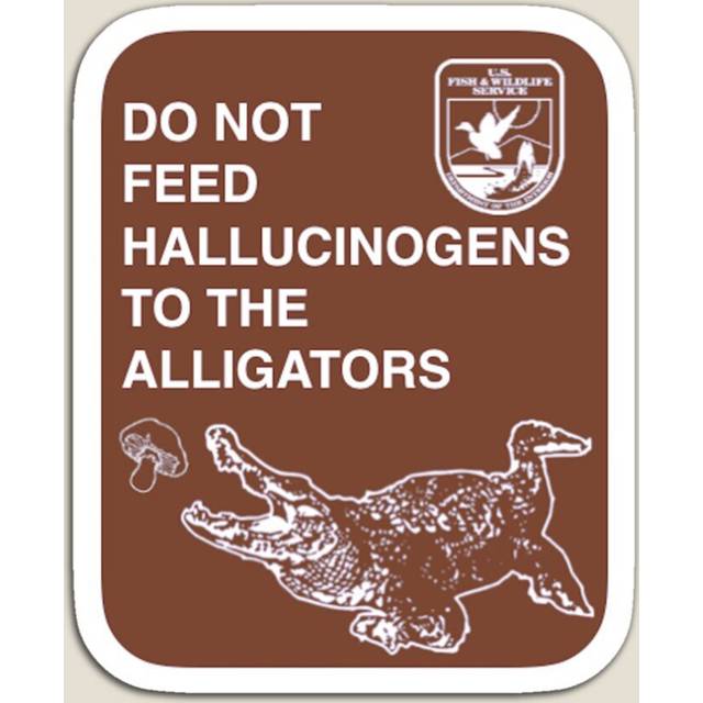 Fridge Magnets Do Not Feed Hallucinogens To The Alligators (Large) Acrylic Meme Decoration for Home Kitchen Office