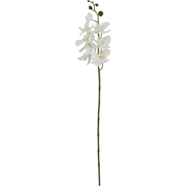(52cm x 9cm x 9cm, White) Hill Interiors Butterfly Orchid Artificial Flower