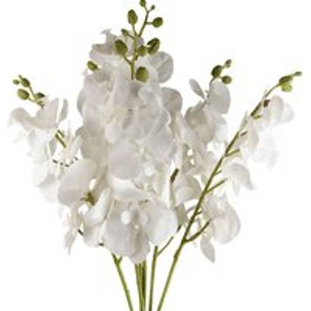 Leaf - Pack of 6 x 100cm Artificial Phalaenopsis Orchid White Stem