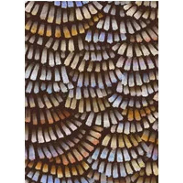 Moooi for Arte Tapete Dandelion Cranes - Prisma - multicolour