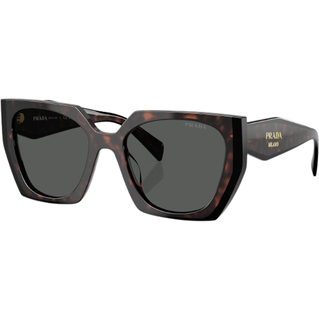 Prada PR 15WS Sunglasses 24B40L Root / Black