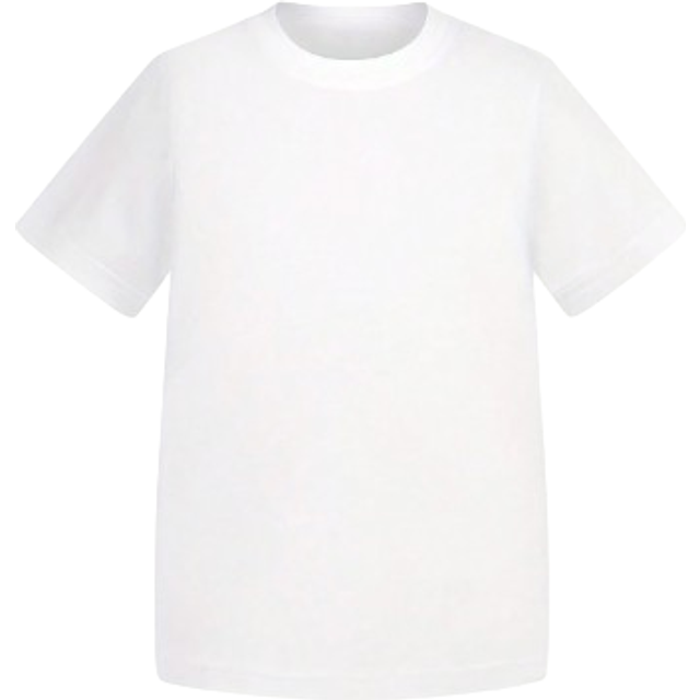 SHEIN Tween Boy White Crew Neck Short Sleeve T-Shirt For Summer Casual Wear