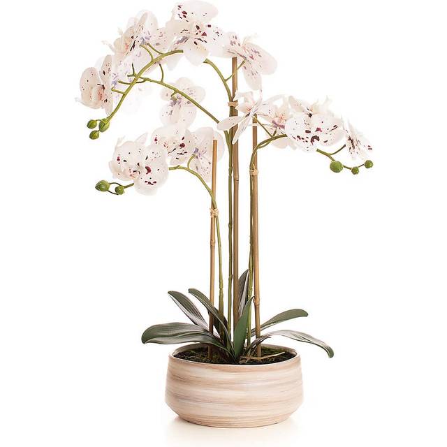 Artificial White Speckled Orchid in Beige Ceramic Plant Pot