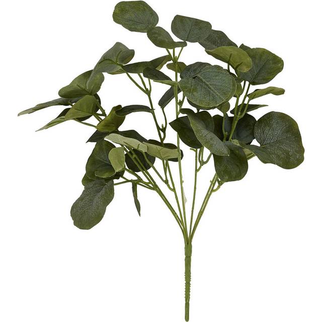 Short Eucalyptus Bunch