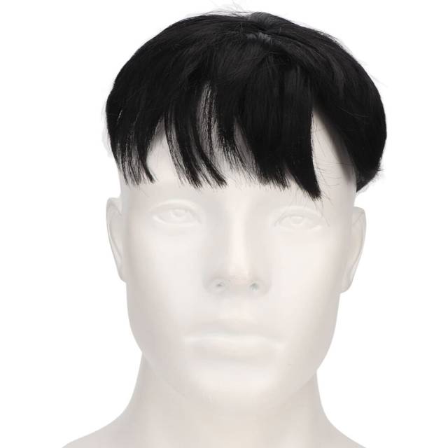 gernie Short Toupee for Men  Fashionable Handsome Men Hair Topper Wig Comfortable Breathable Male Hair Pieces Short Wig  Human Hair HairPiece for Dail