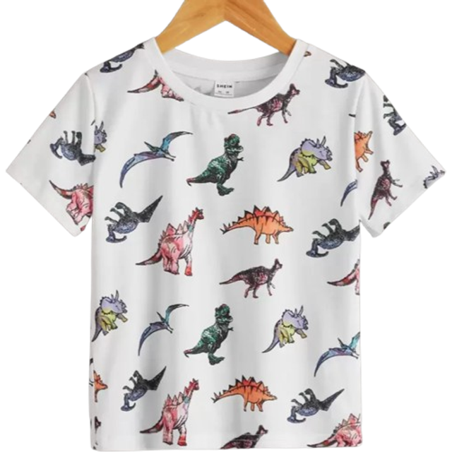 SHEIN Young Boy Dinosaur Print Tee