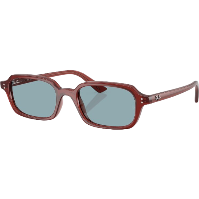 Ray-Ban Zuri - RB4455 680980 4919