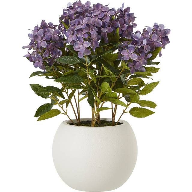 Hydrangea Arrangement in Pot - Purple (58cm H x 51cm W x 51cm D)