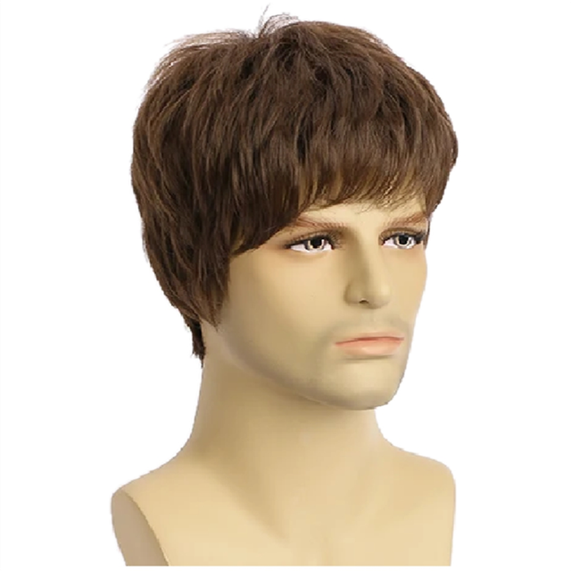 Short Natural Curly Hair For Male Young Men Synthetic Wigs