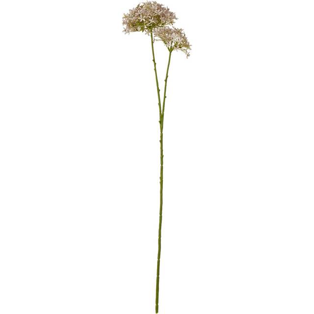 Lilac Crown Hydrangea Stem