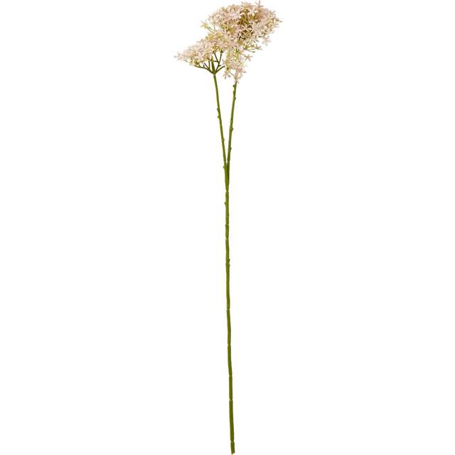 Hydrangea Arrangement - Pink (71cm H X 18cm W)