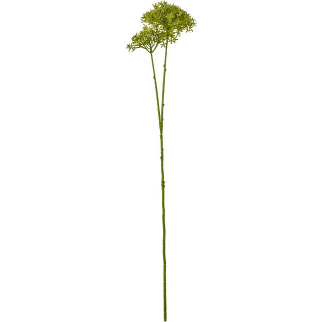 Hydrangea Arrangement - Green (71cm H X 18cm W)