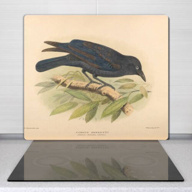 Big glass worktop kitchen chopping board birds wild animals drawing 60x52 cm