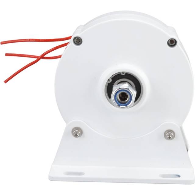 200W Three Phase Alternator Home Permanent Magnet Electric Motor Generator for Vertical Horizontal 12V