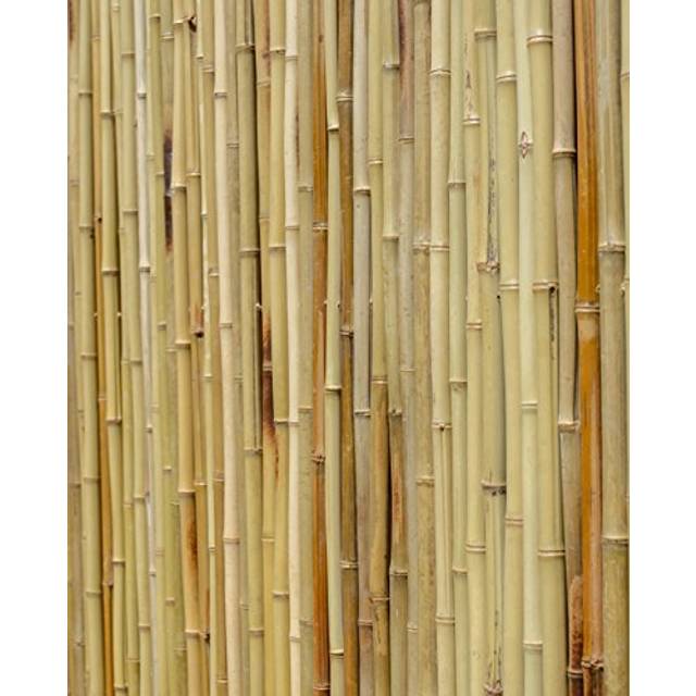 Primrose Natural Thick Bamboo White Screening Roll Privacy Screen 1.9M X 1.8M - One Size