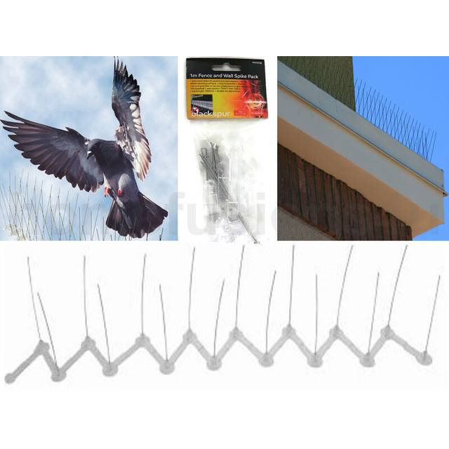 2/4/6/8/10m anti perch bird pigeon seagull repeller defender fence wall spikes