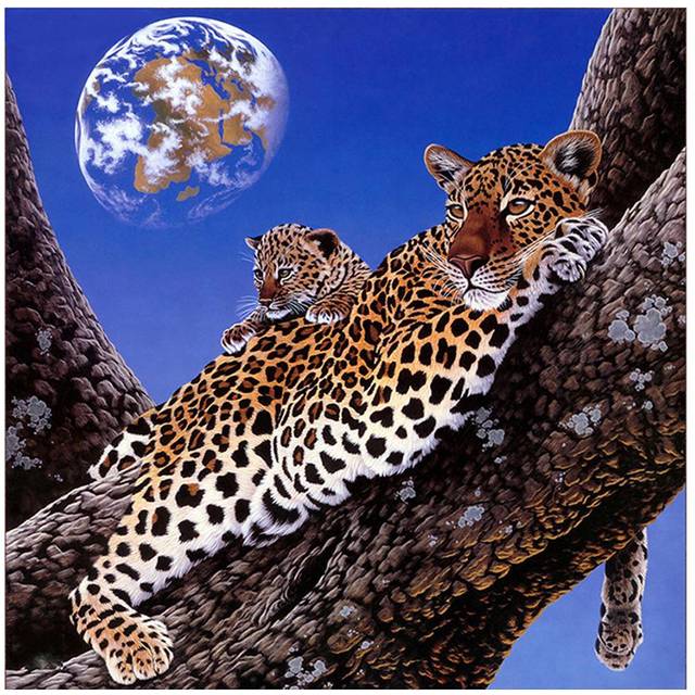 5D Diy Diamond Painting Cheetah 3D Diamond Embroidery Animals Full Round Drill Rhinestones 30x30CM