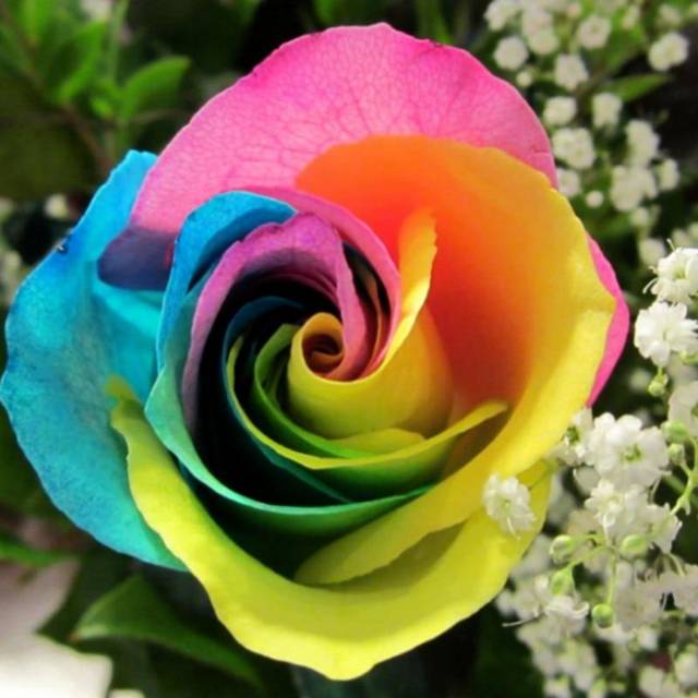 Diamond Paint 5D Beautiful Colorful Rose Flowers Diamond Painting Diamond Embroidery 30x30CM
