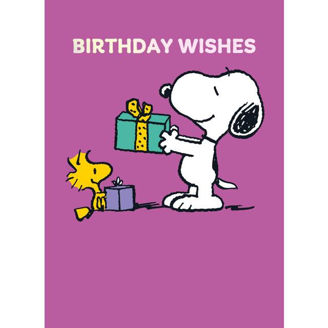Peanuts Snoopy Birthday Card