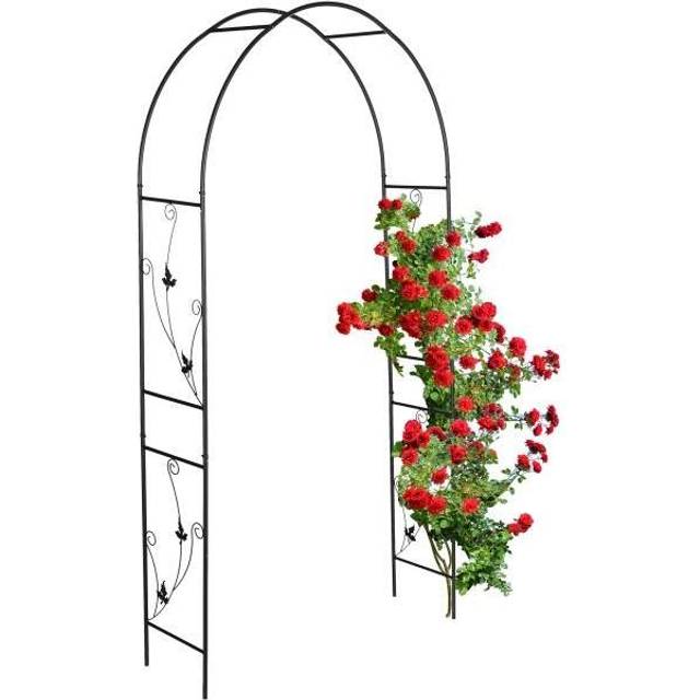 Rund Rosenbue Sort