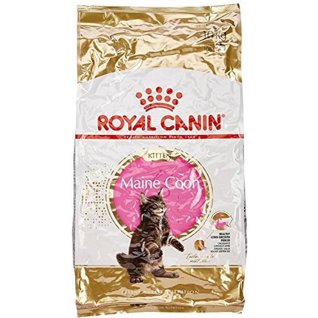 Royal Canin kattfoder Feline Kitten Maine Coon 36, 10 kg, 1-pack (1 x 10 kg)