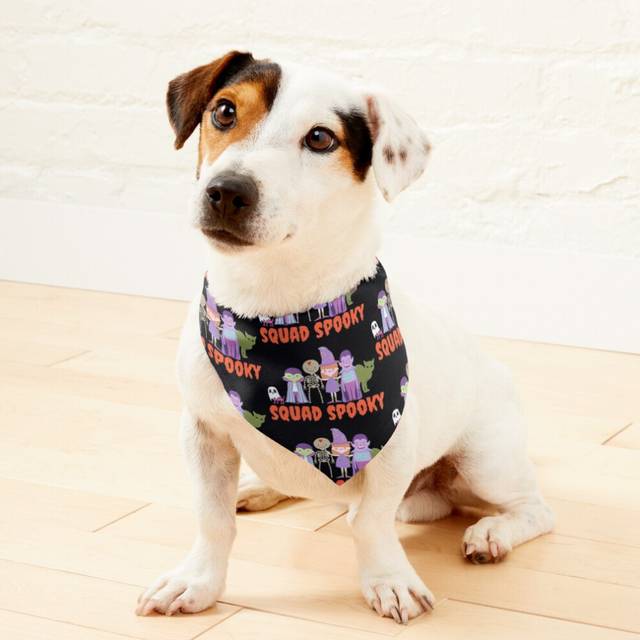 (SQUAD SPOOKY Night - HALLOWEEN Collection - Special Edition =1693) 2-in-1 Pet Bandana Collar with Quick Release Buckle & D-Ring Adjustable Cat Scarf