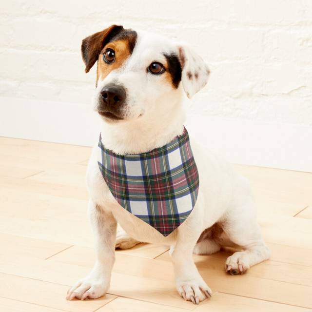 (Stewart Dress M Original Scottish Tartan =2403) 2-in-1 Pet Bandana Collar with Quick Release Buckle & D-Ring Adjustable Cat Scarf for Large/XLarge/XX