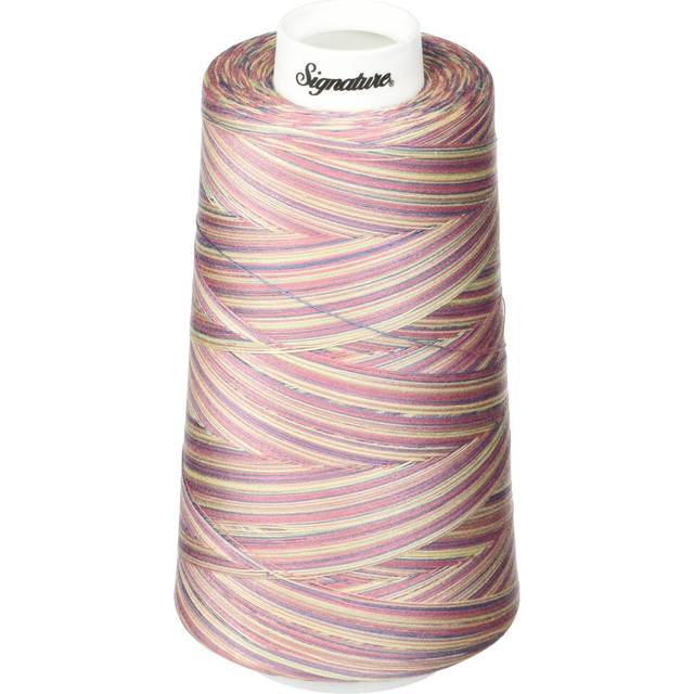 Signature Thread  40wt/3000 yd  Variegated Victorian
