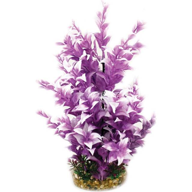 Aqua One Vibrance - Purple Ludwigia With Gravel Base (L) 28214