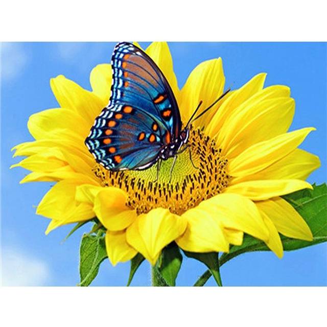 Diamond Painting Sunflower Diamond Embroidery Butterfly Cross Stitch Rhinestones Diamond Mosaic Flower 20X30CM