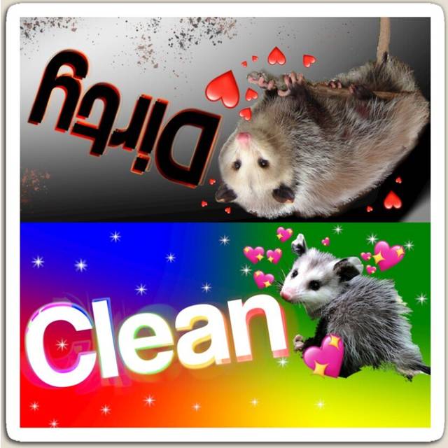 Fridge Magnets Opossum Dishwasher Sign Acrylic Meme Decoration for Home Kitchen Office