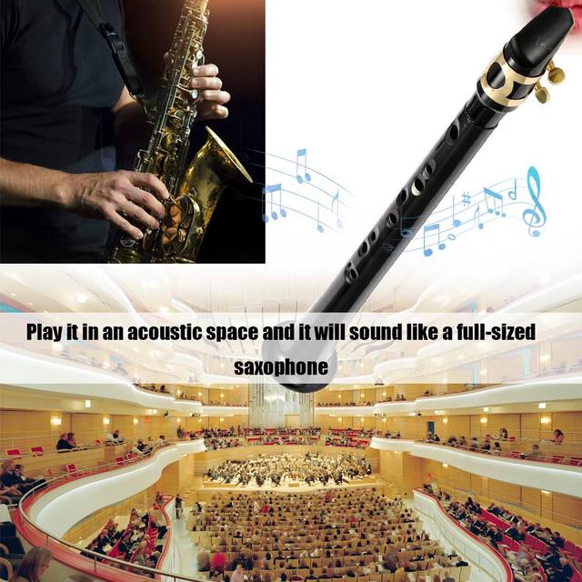 Black Pocket Sax Mini Bärbar Saxofon C-Key Liten Saxofon Med Bärväska Träblås