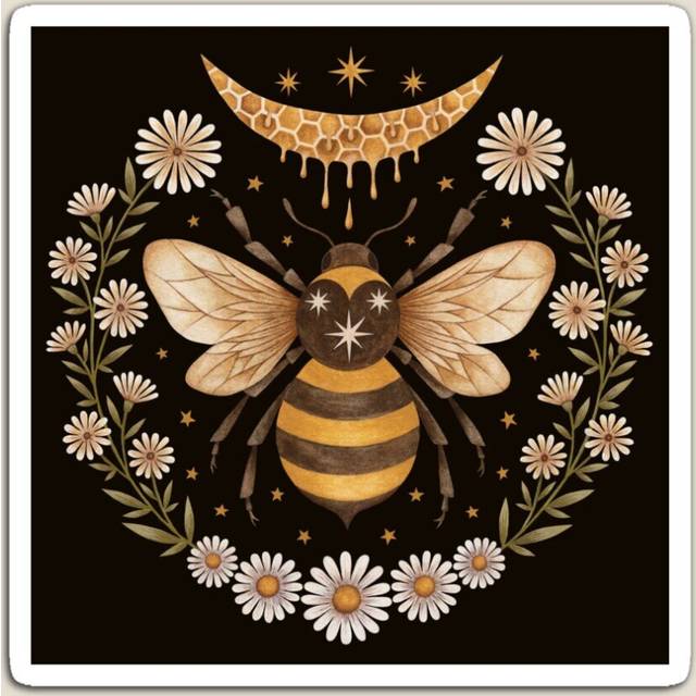 Fridge Magnets Honey moon Acrylic Meme Decoration for Home Kitchen Office