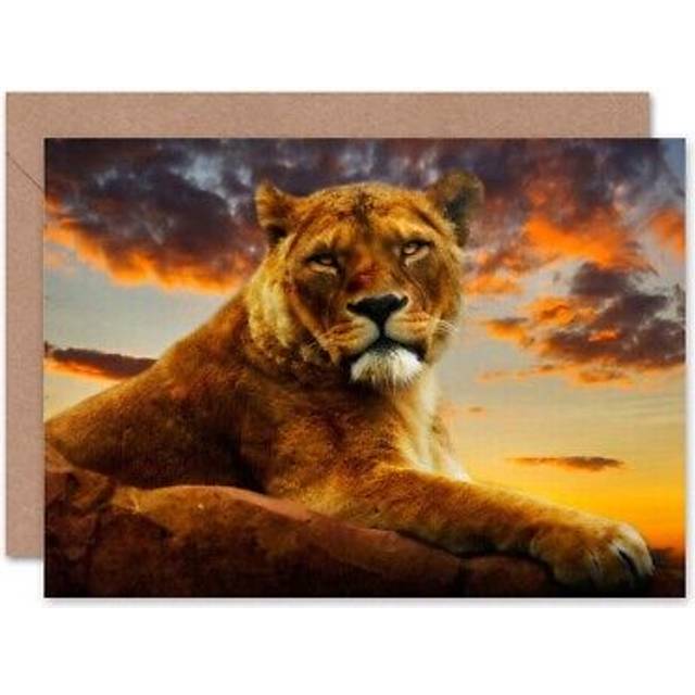 Lioness African Sunset Photo Birthday Blank Greeting Card With Envelope