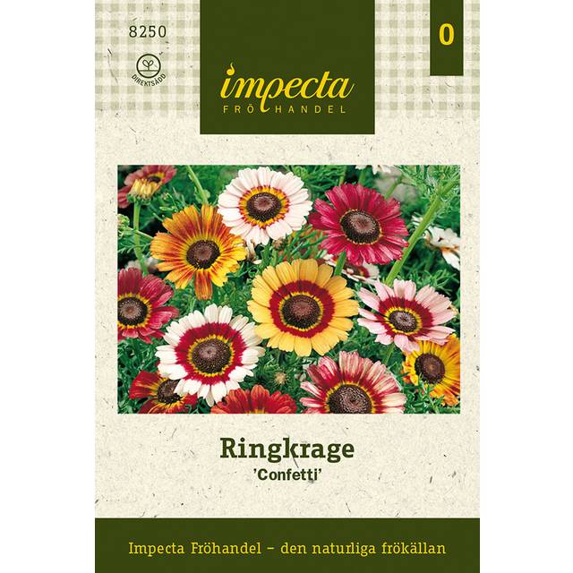 Ringkrage, Confetti