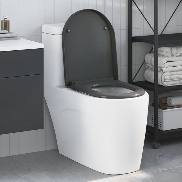 Quick Release Toilet Seat with Soft Close Duroplast Anthracite Vidaxl