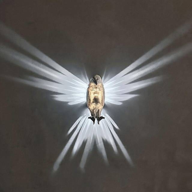 (A, One size) Eagle lamp owl lamp animal projection LED light atmosphere holiday decoration wall lamp wall hanging lamp