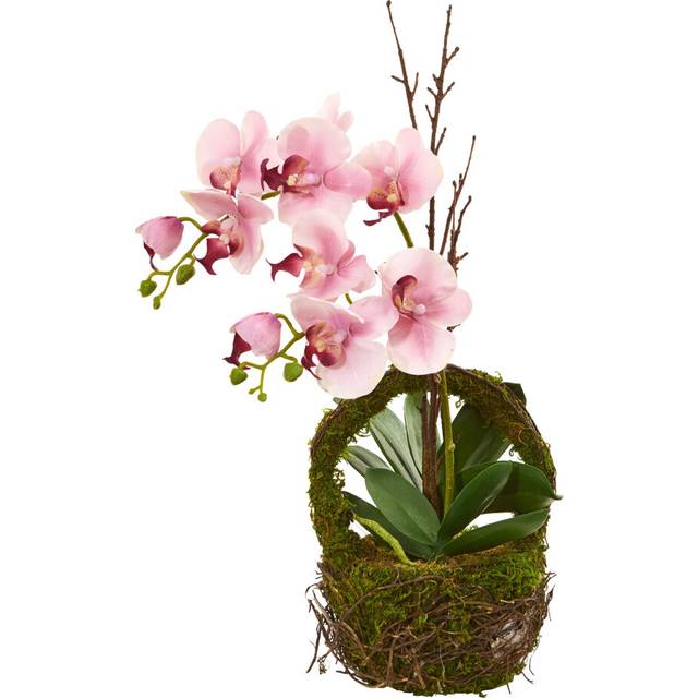 Nearly Natural Phalaenopsis Orchid Artificial Twig Basket Silk Arrangements Pink