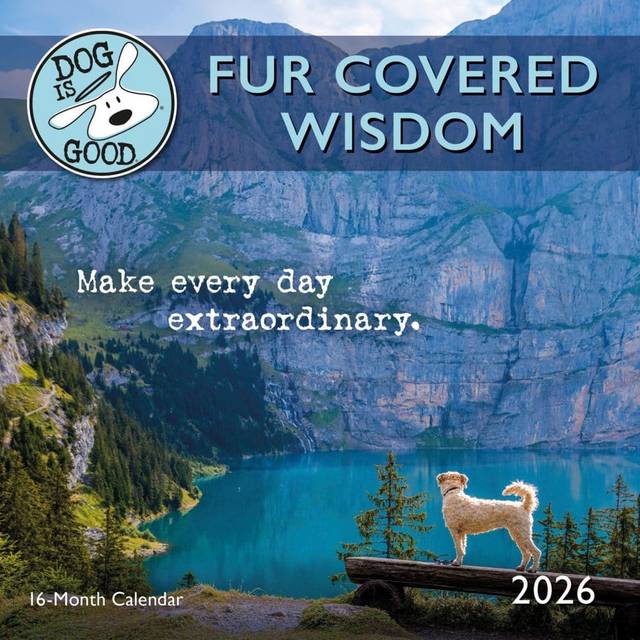 Dog is Good Fur Wisdom 2026 Mini Wall Calendar