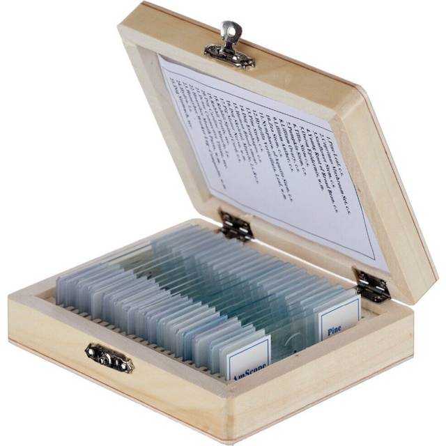 AmScope 25 Glass Prepared Microscope Slides with Wooden Box PS25W